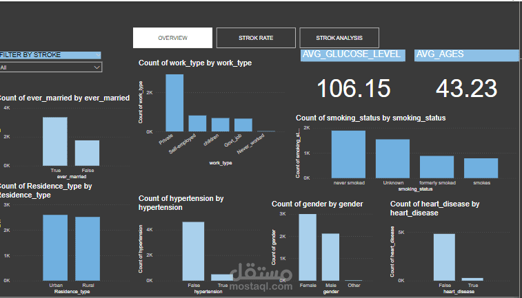 Strok  Dashboard Insights & Recommendations