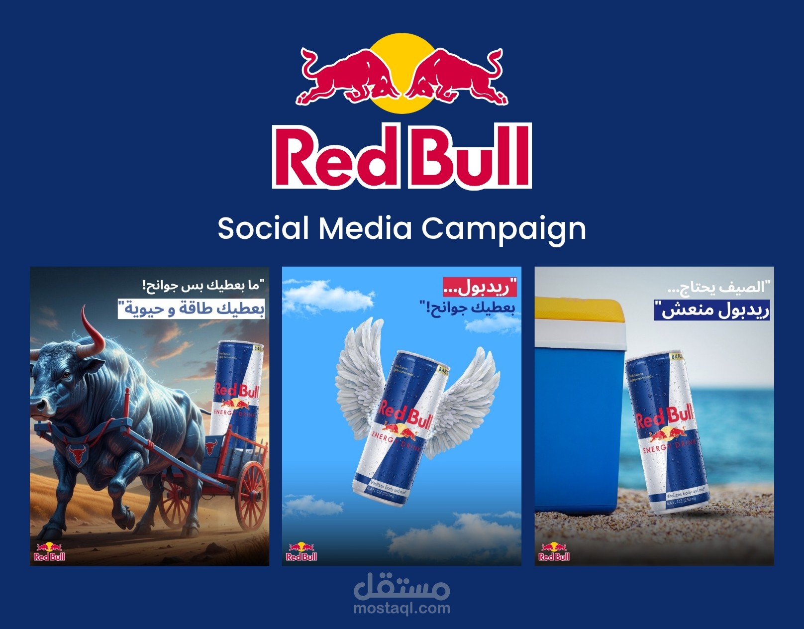 Red Bull Social Media Campaign