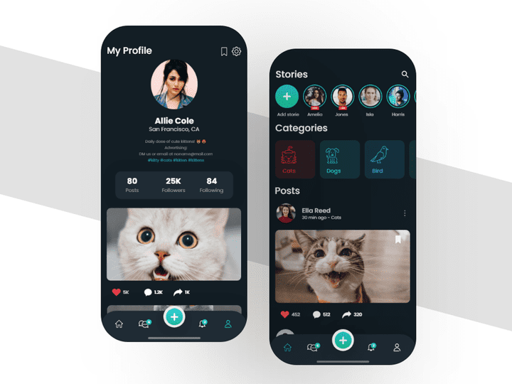 PetsLovers - Social Media app