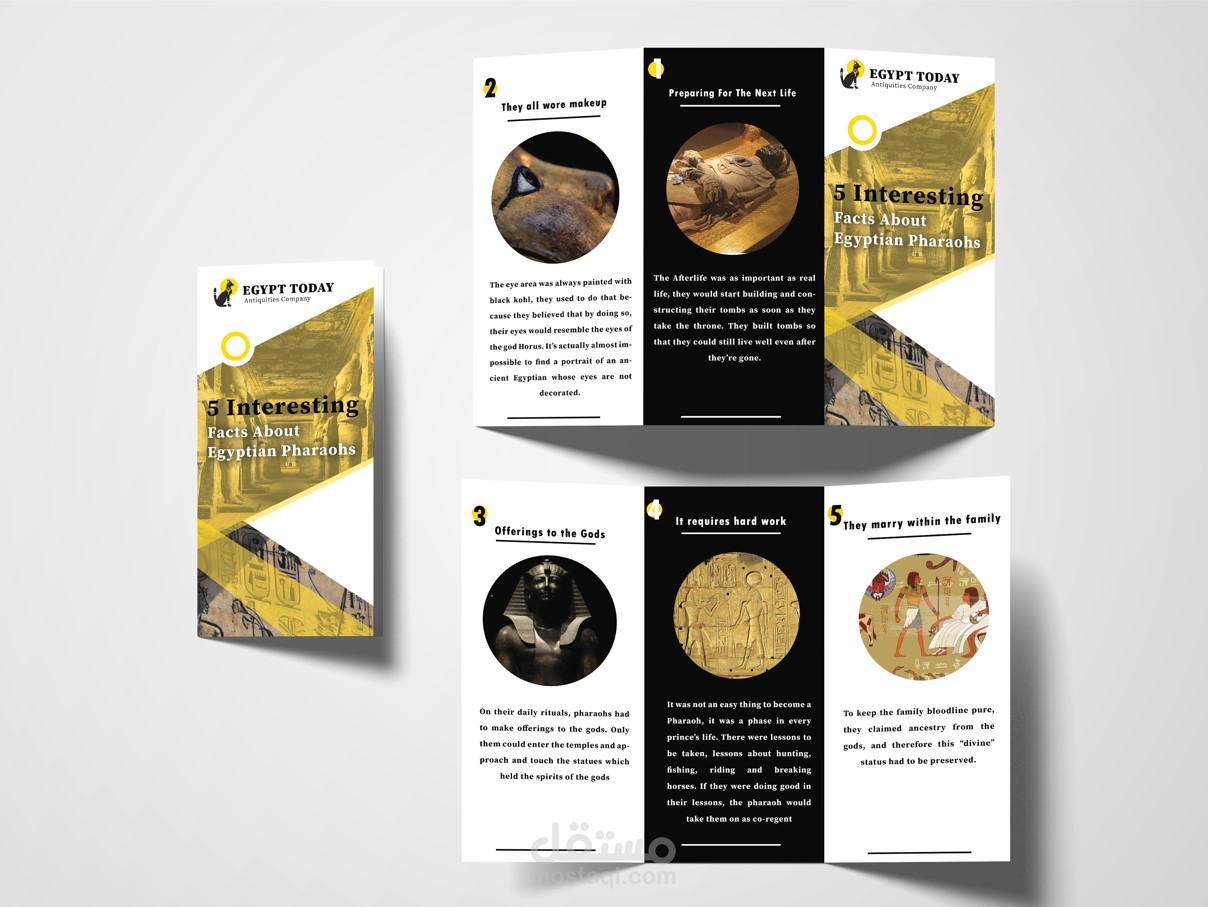 تصميم مطوية إعلانية للشركات والمشاريع ( Brochure Design )