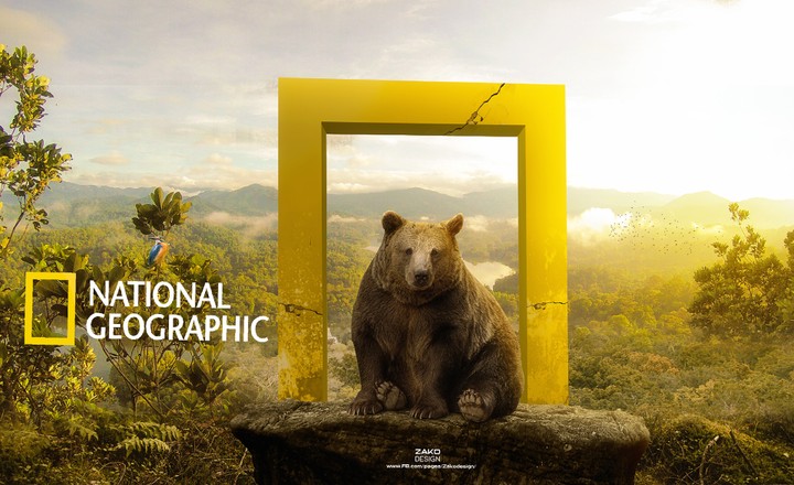 تصميم دعائي national geographic