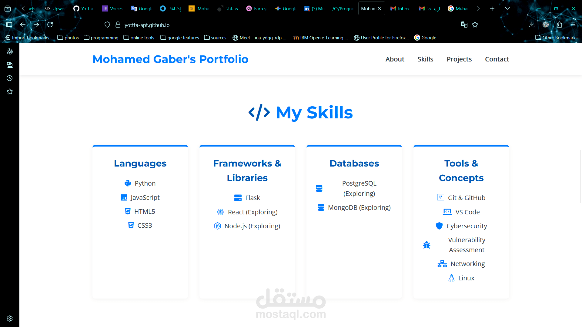 Mohamed Gaber's Portfolio