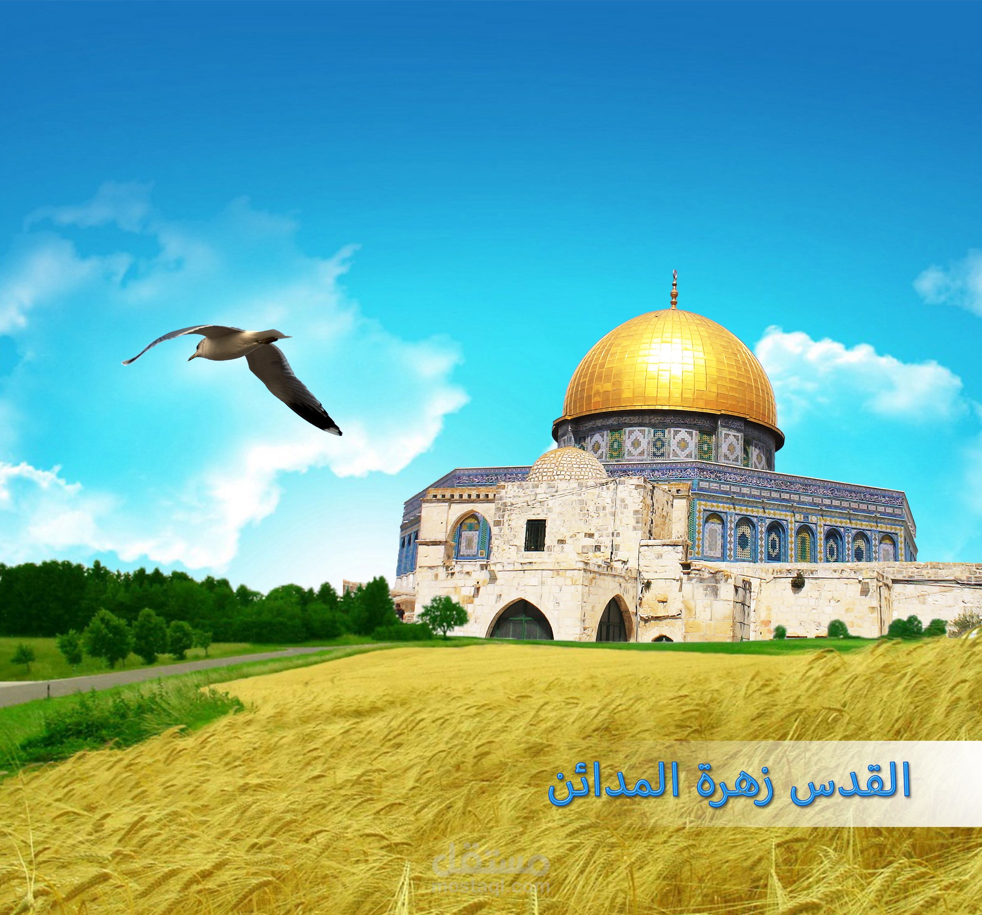 مطور و مصمم مواقع الكترونية