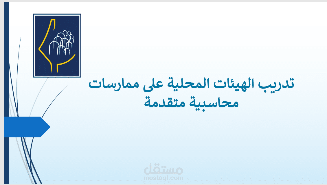 الاشراف على تطوير دورة تدريب الهيئات المحلية على ممارسات محاسبية متقدمة