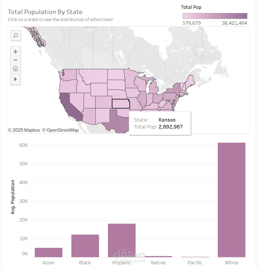 Diversity in The US Dashboard