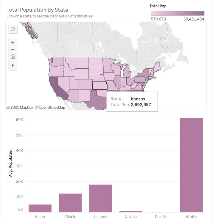 Diversity in The US Dashboard