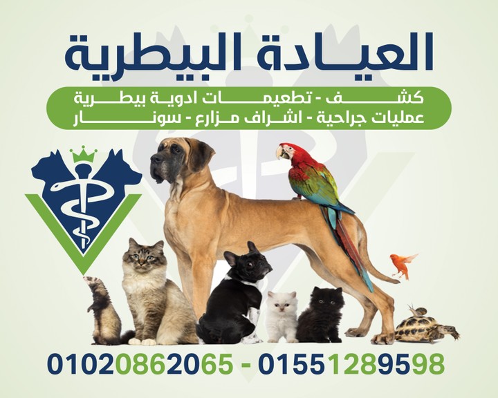 Design veterinary clinic