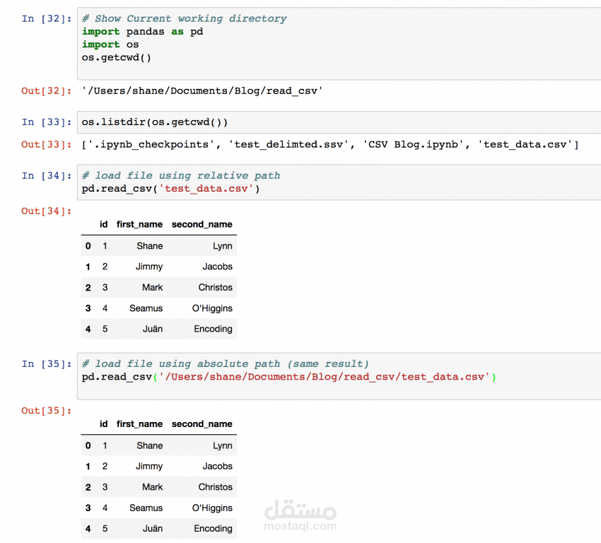 تحليل ومعالجة بيانات الرواتب باستخدام Python وتنظيف البيانات باسنخدام pandas, numpy