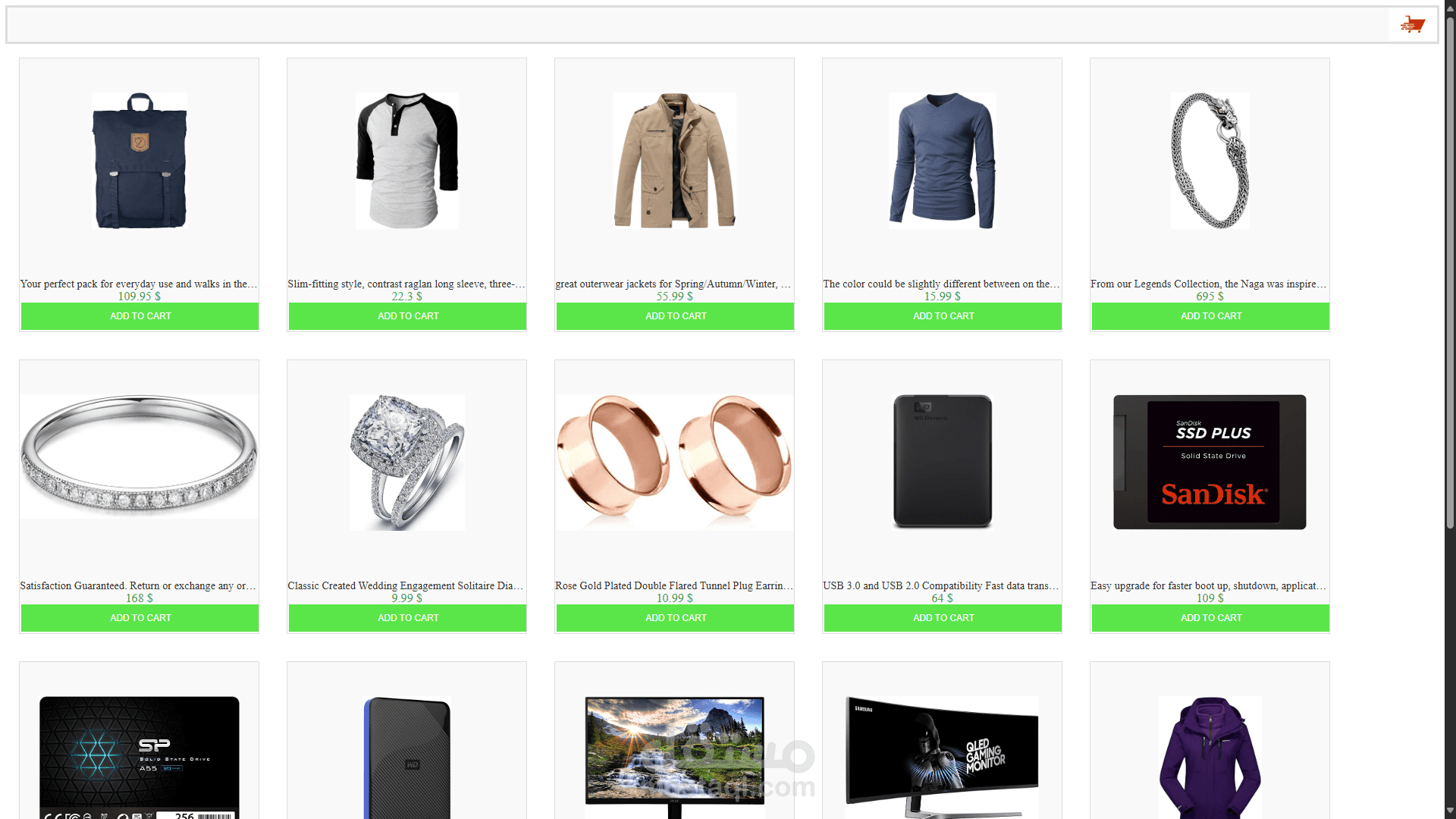 basic e-commerce website
