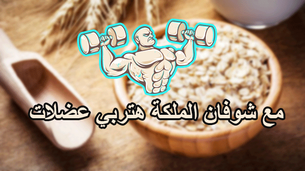 تصميم سوشيال ميديا شوفان الملكة