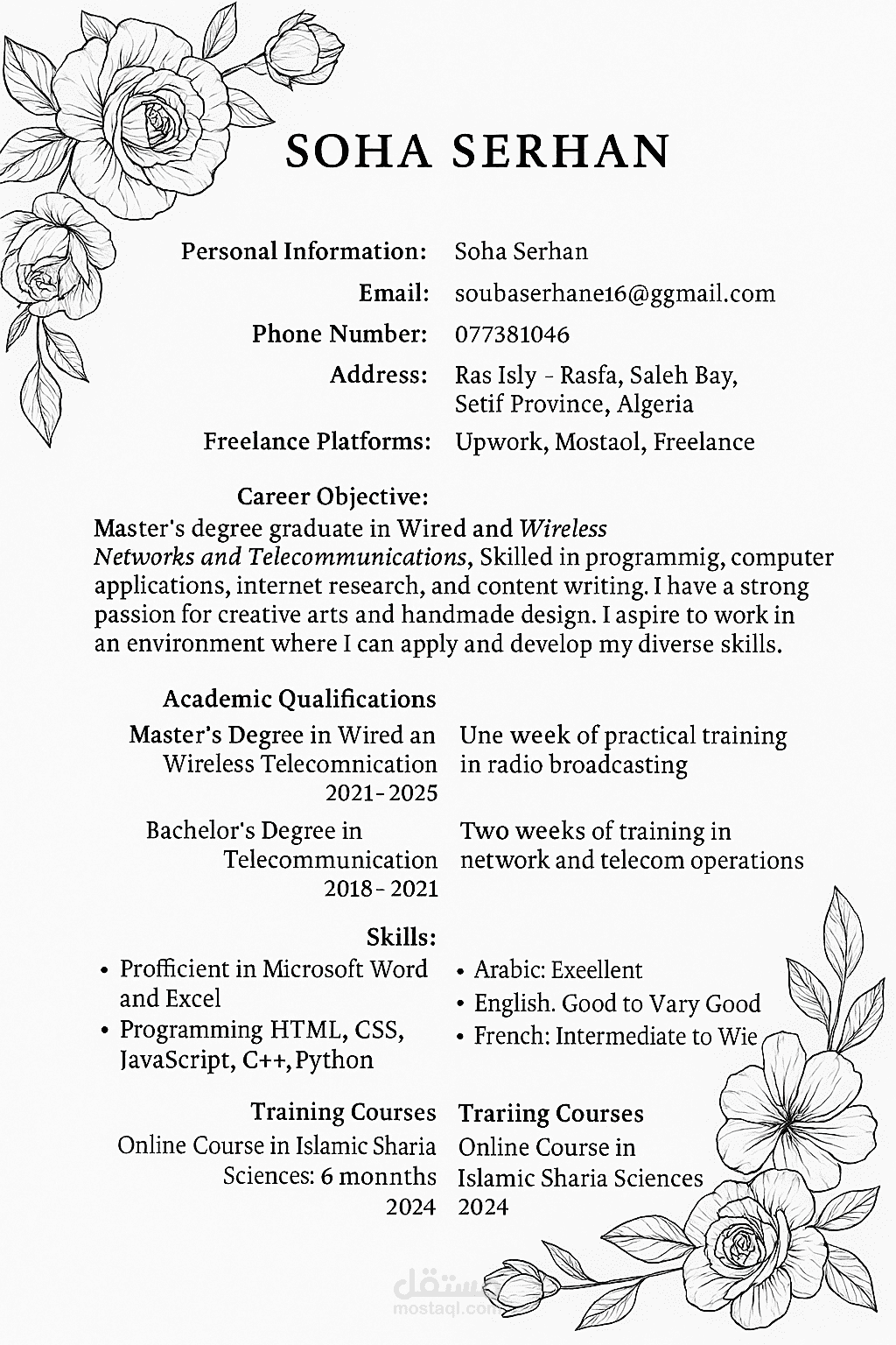 CV(Curriculum Vitae)