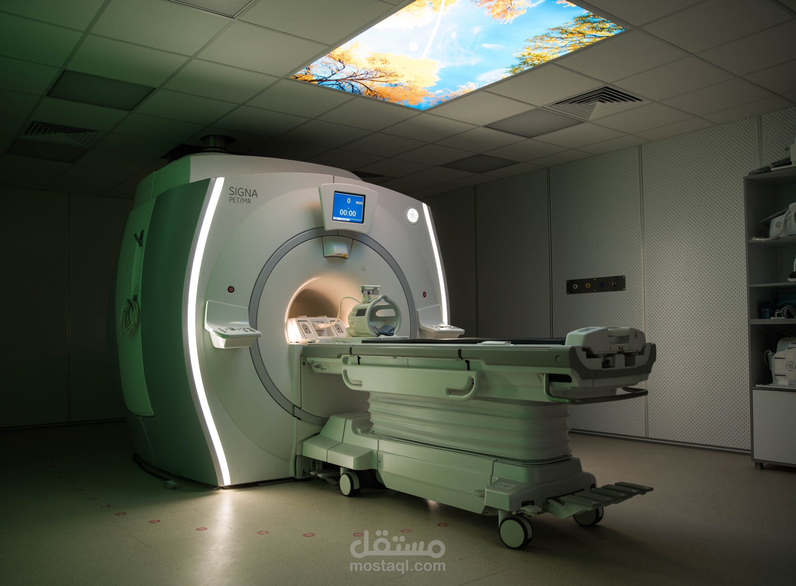 Bilingual Medical Translation – Patient Discharge Summary