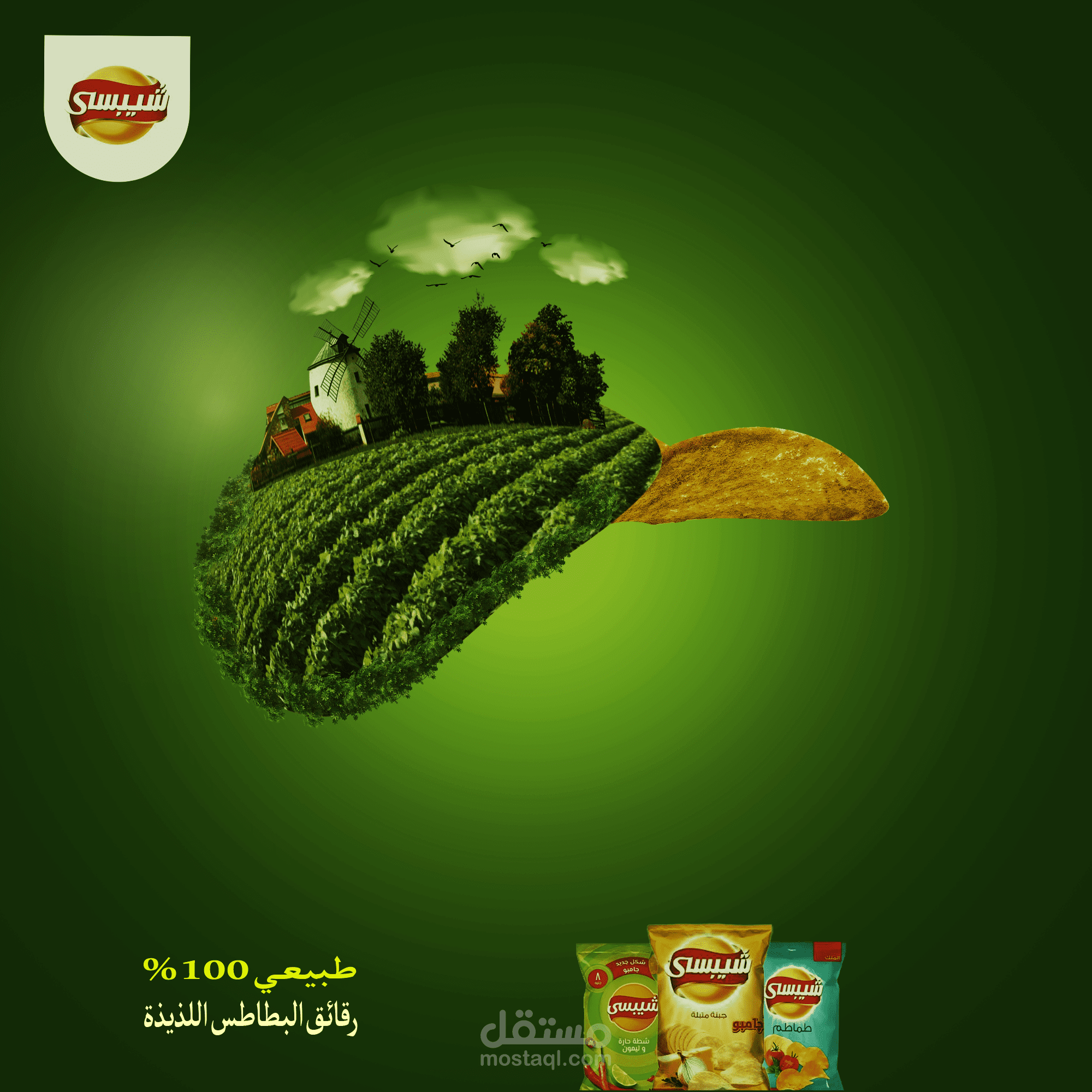 سوشيال ميديا