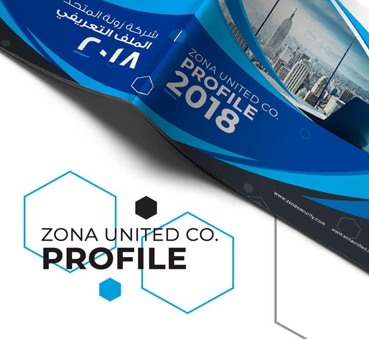 Profile For "ZONA UNITED CO."