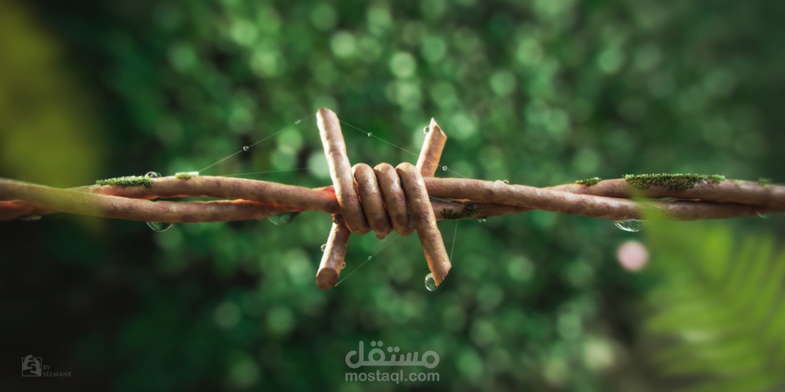 RUSTY WIRE (3D RENDER)