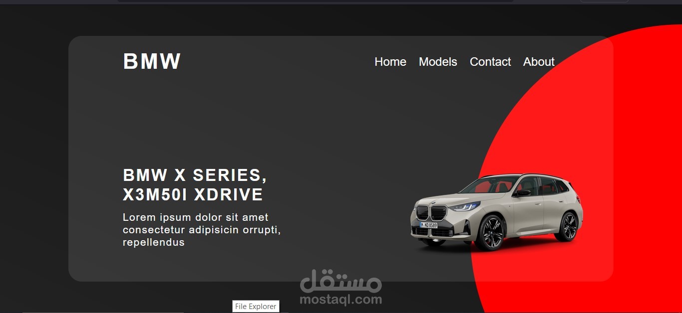Landing Page for BMW