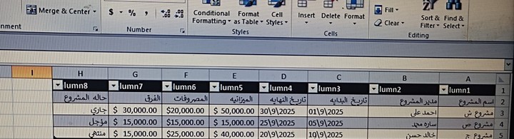 Excel احترافي لإدارة مشاريعك بذكاء وسهولة"