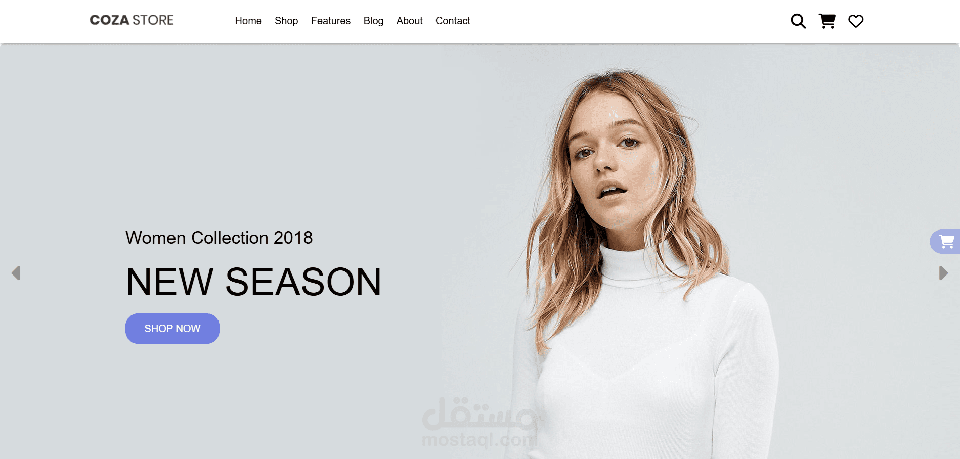 CozaStore