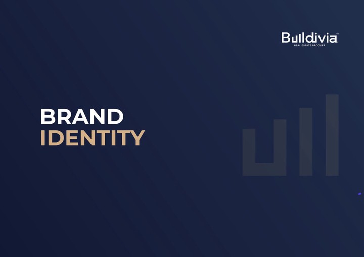 Buildivia Brand Identity
