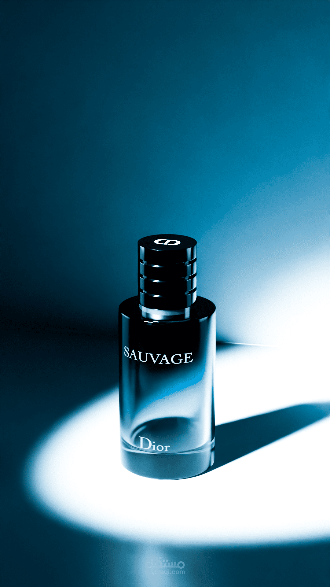 sauvage dior 3d perfume
