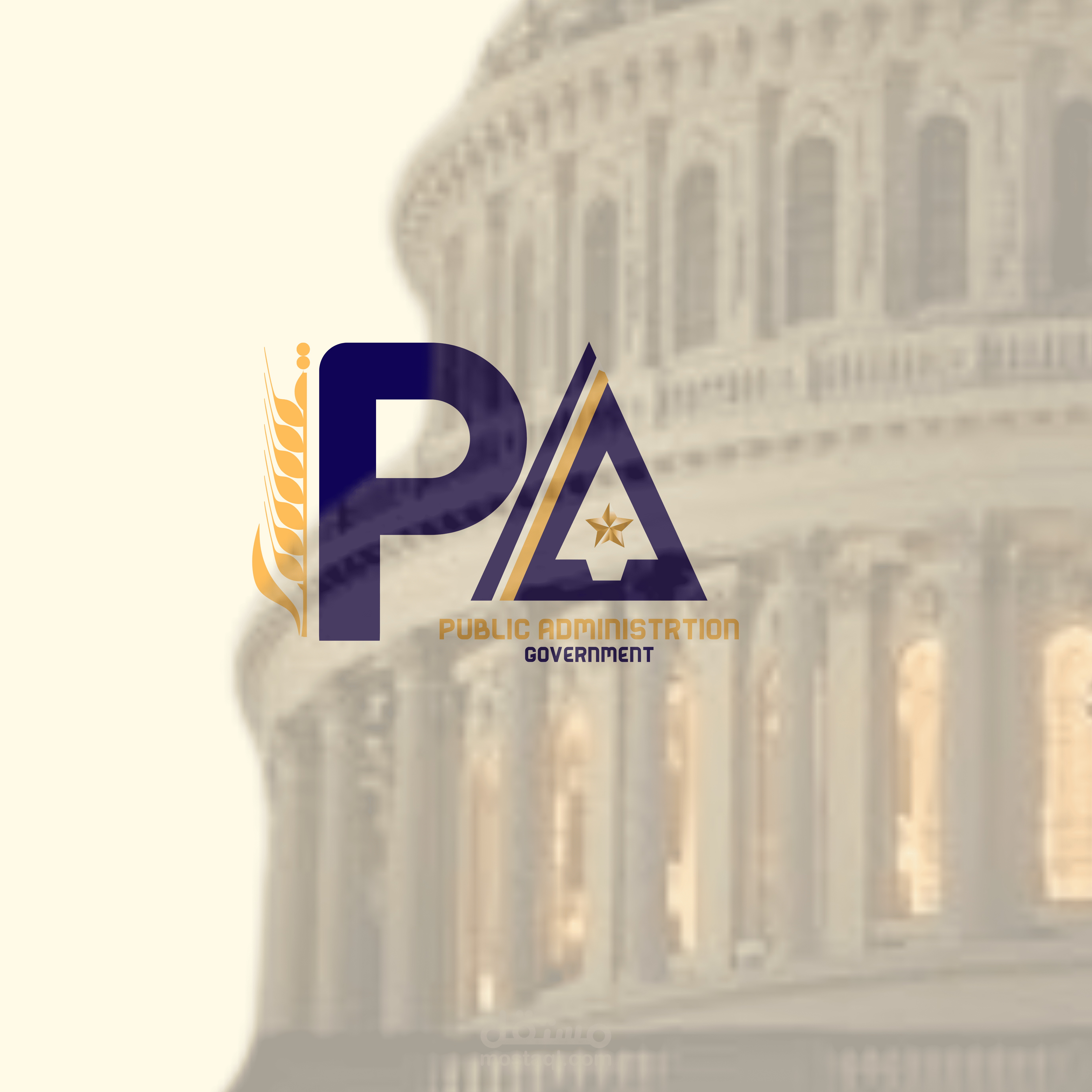 لوجو ل (public Administrtion) PS قسم government