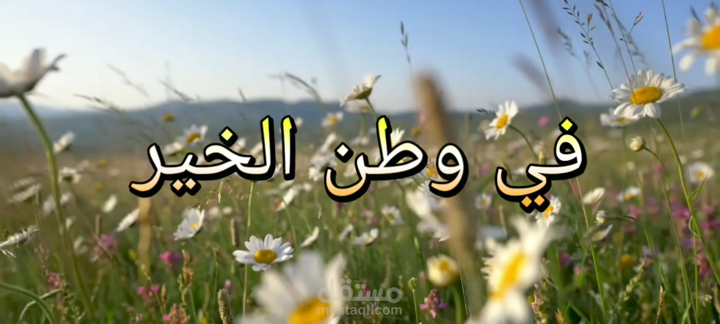 منظمة TDH