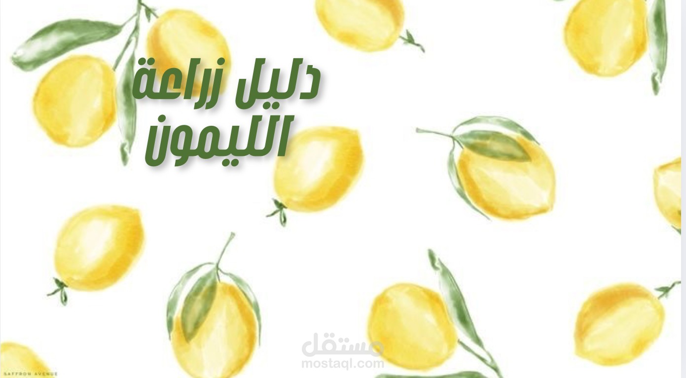 عرض تقديمي باستخدام Canva: دليل مبسّط لزراعة الليمون
