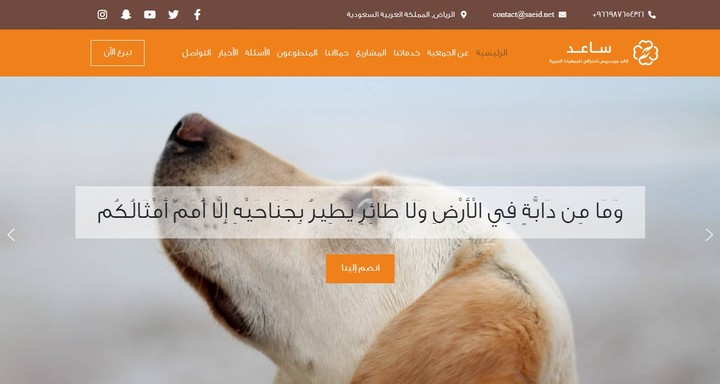 نموذج موقع إلكتروني لجمعية خيرية للرفق بالحيوان