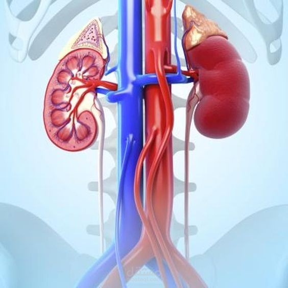 تلخيص بحث علمي بعنوان "Dapagliflozin and Diuretic Use in Patients With Heart Failure and Reduced Ejection Fraction in DAPA-HF"