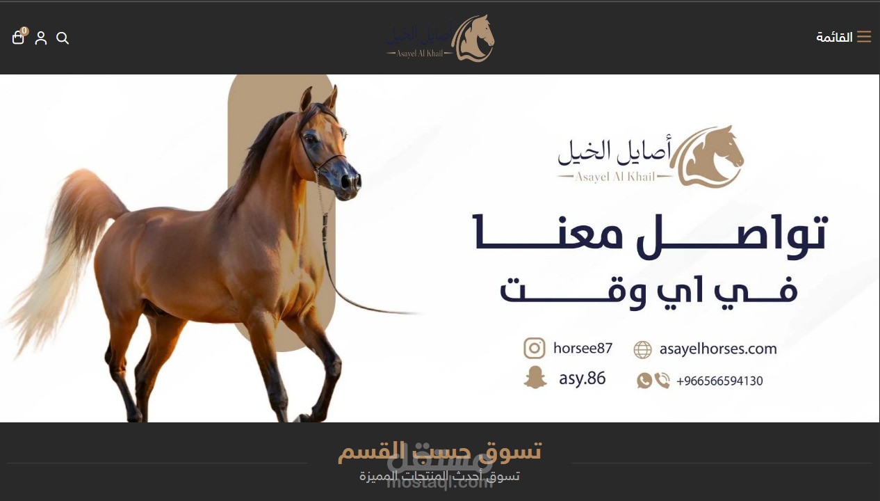 متجر إلكتروني “Asayel Horses” لبيع مستلزمات الخيول المستوردة