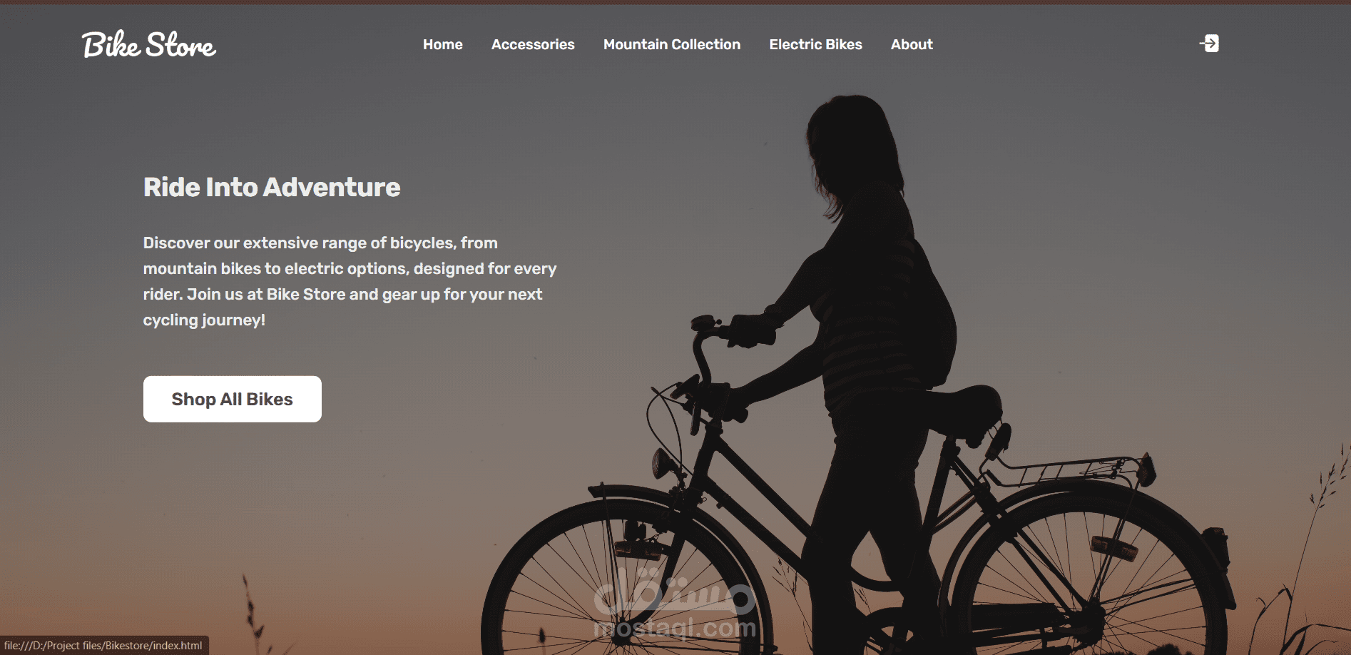 Bike Store