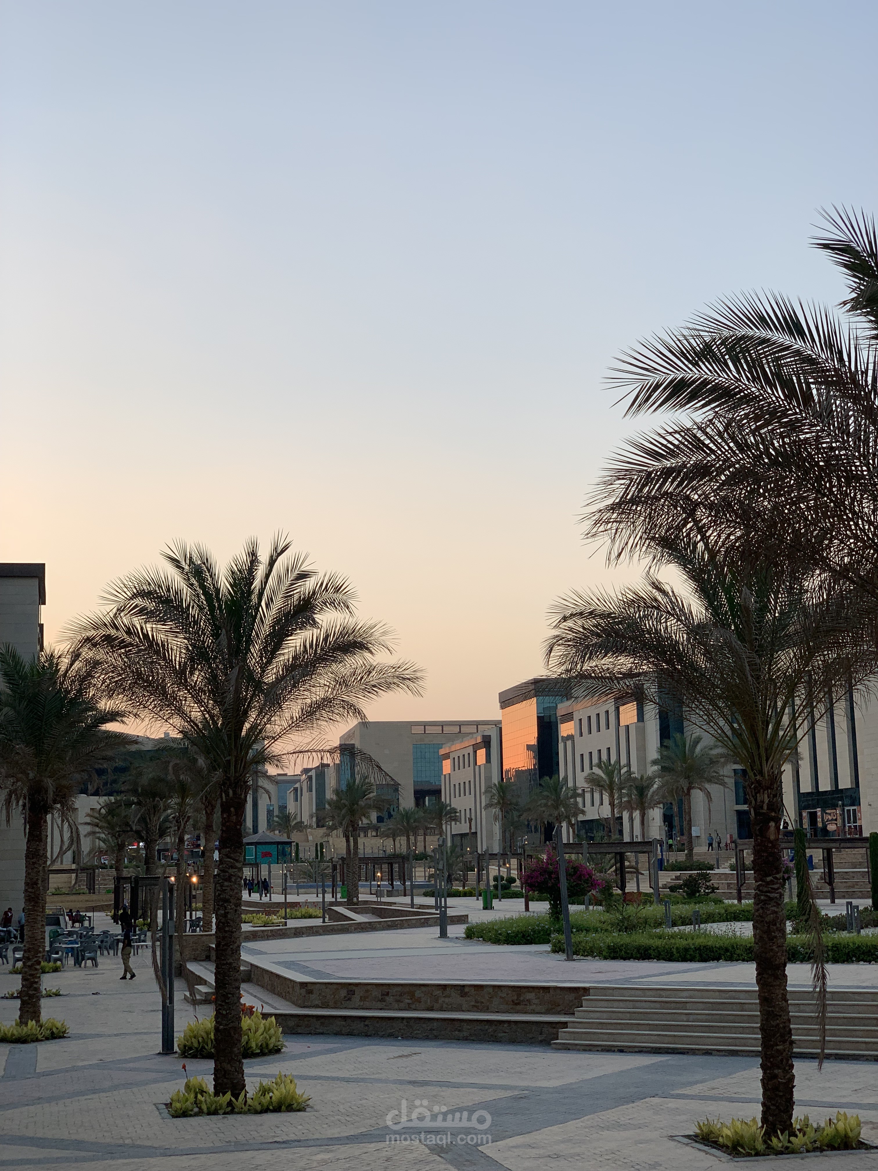 صوره للجامعه في وقت الغروب