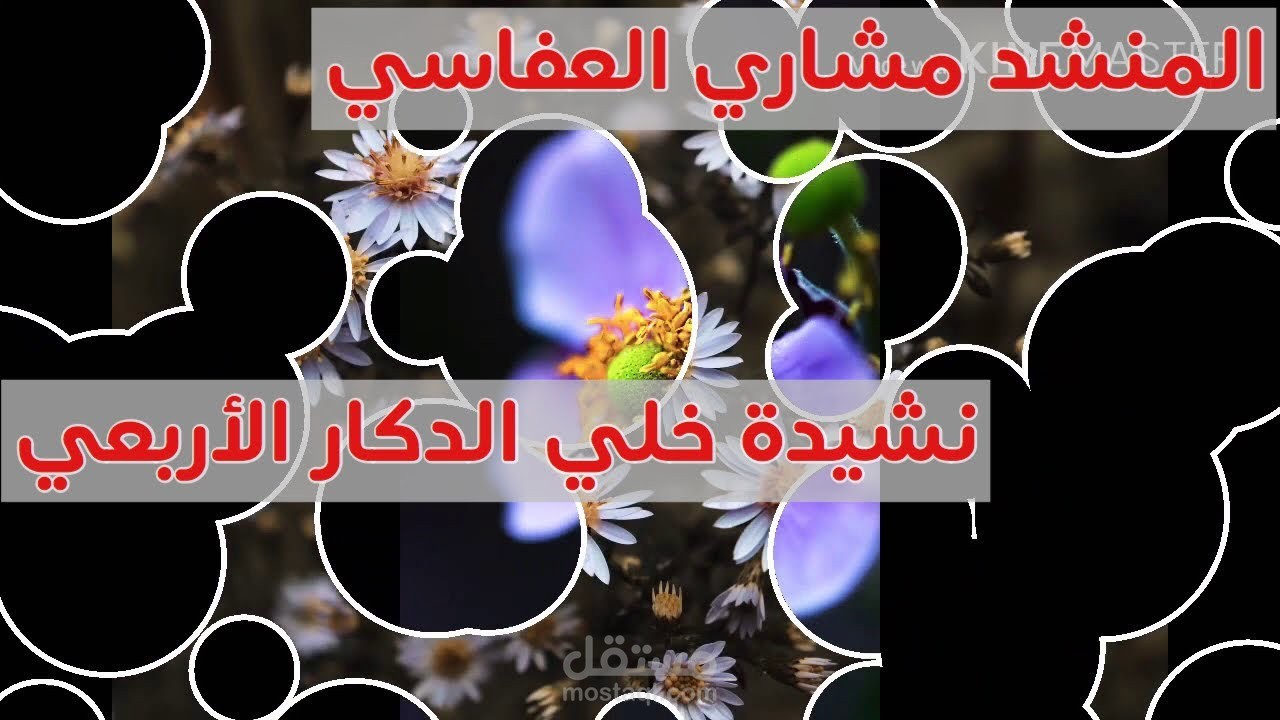 مونتاج فيديو