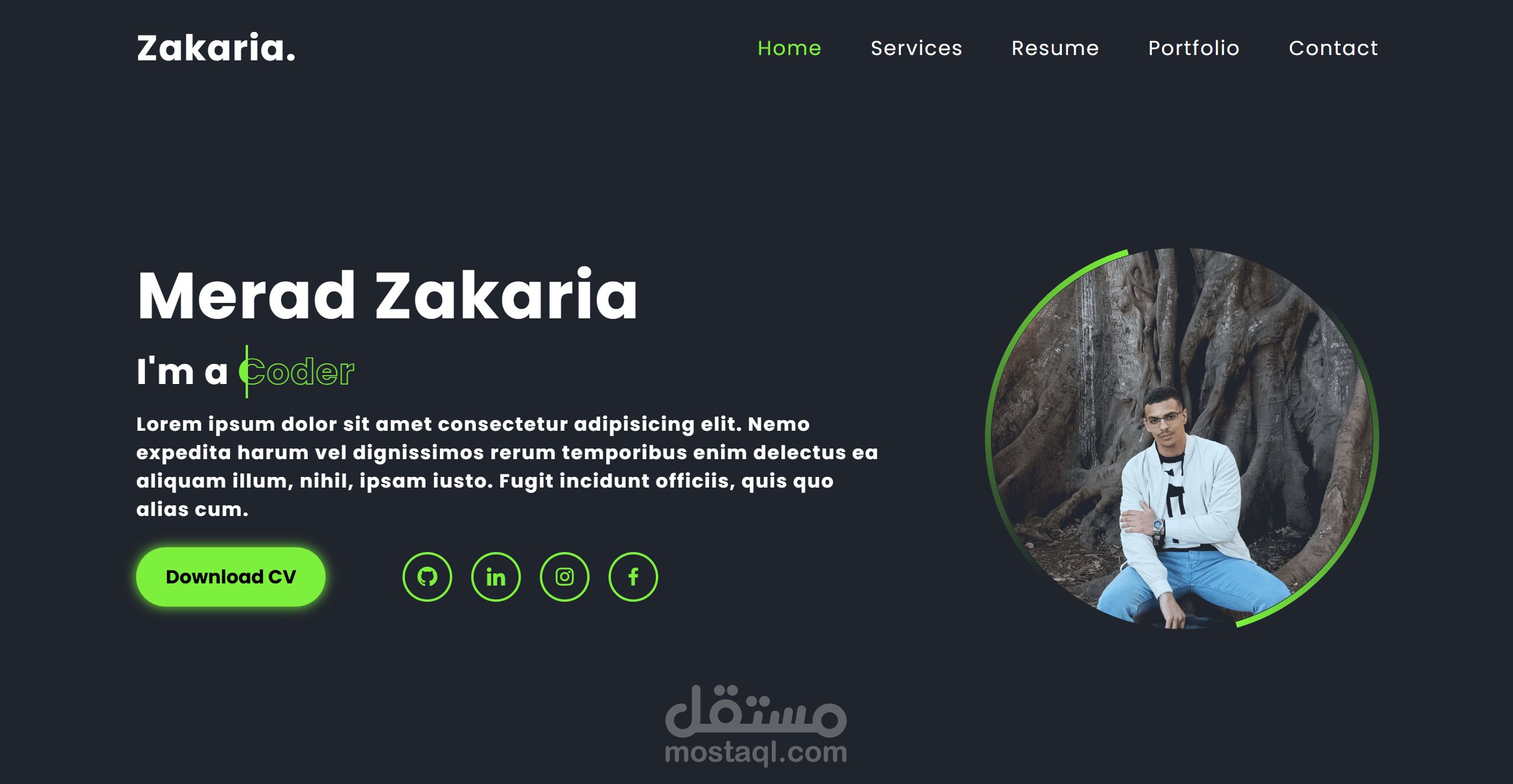 صفحة بورتفوليو احترافية