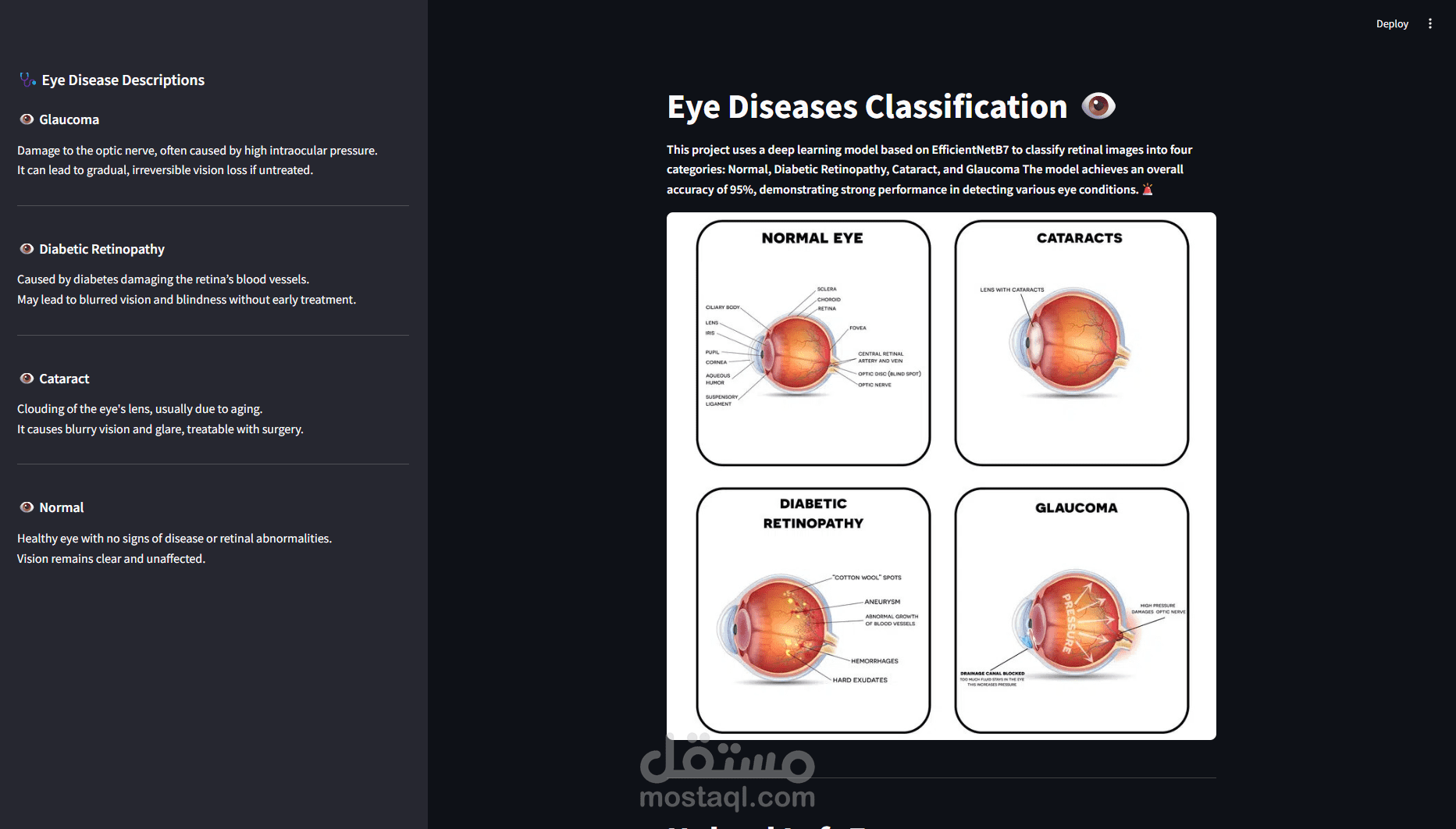 Eye Diseases Classification with Streamlit (Custom CNN, EfficientNetB7)