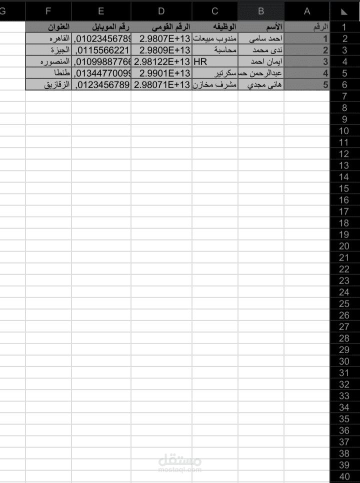ادخال بيانات موظفين على Excel بشكل احترافي