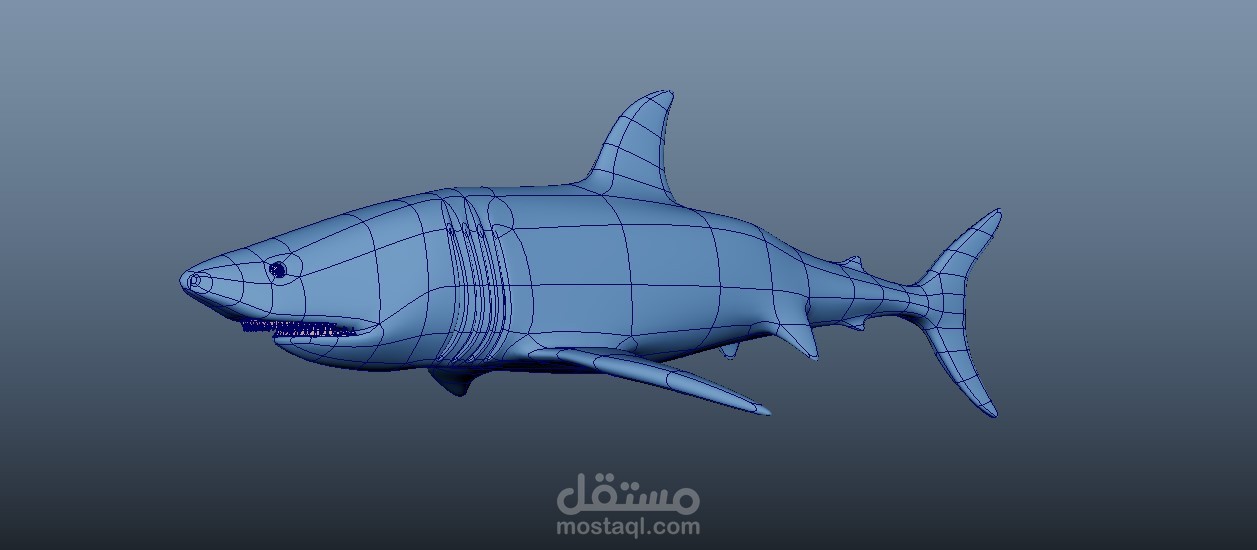 سمكة قرش 3D
