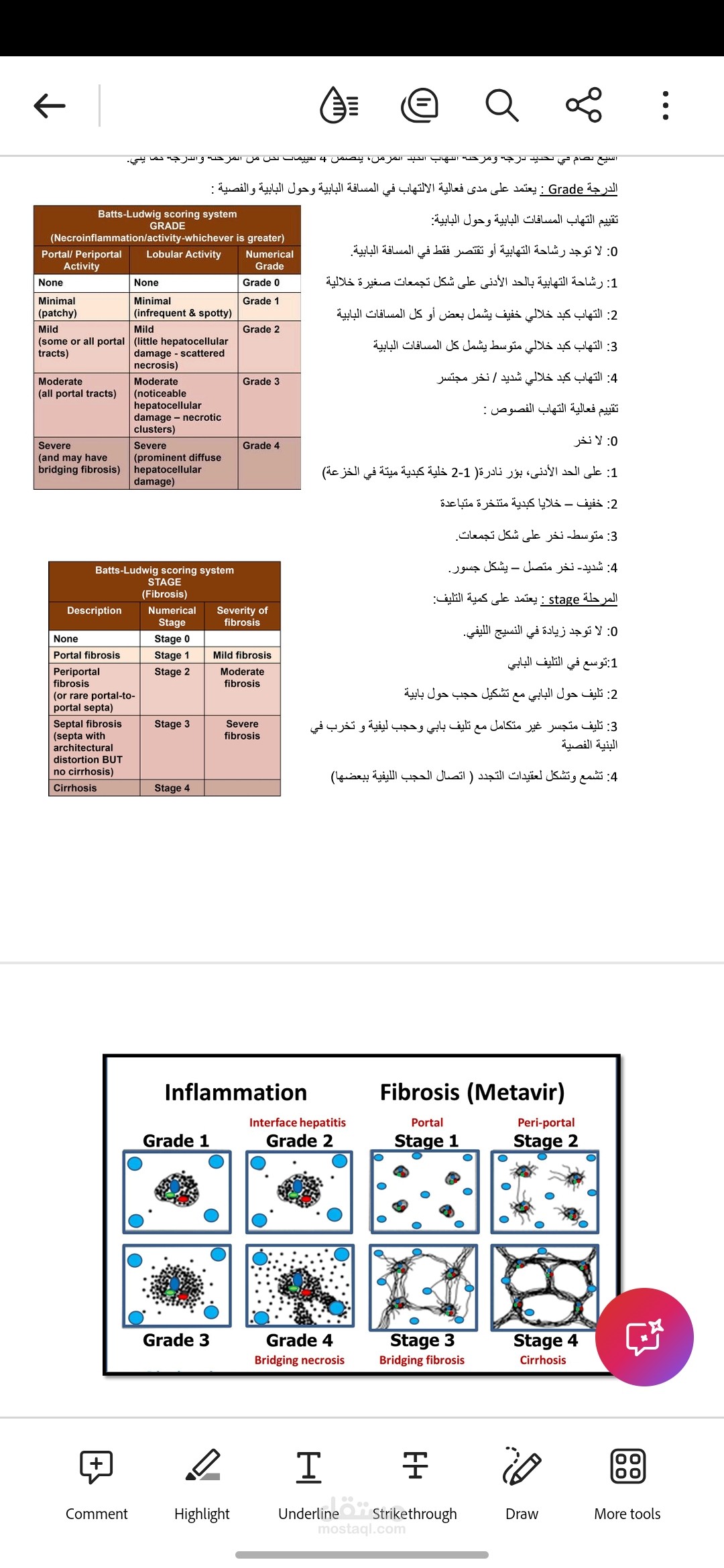مقالة اخرى
