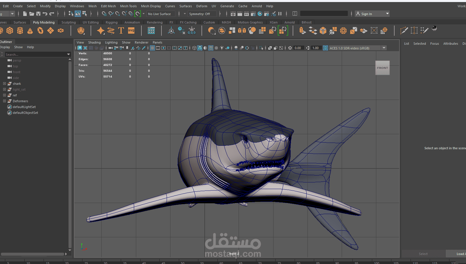 سمكة قرش / shark