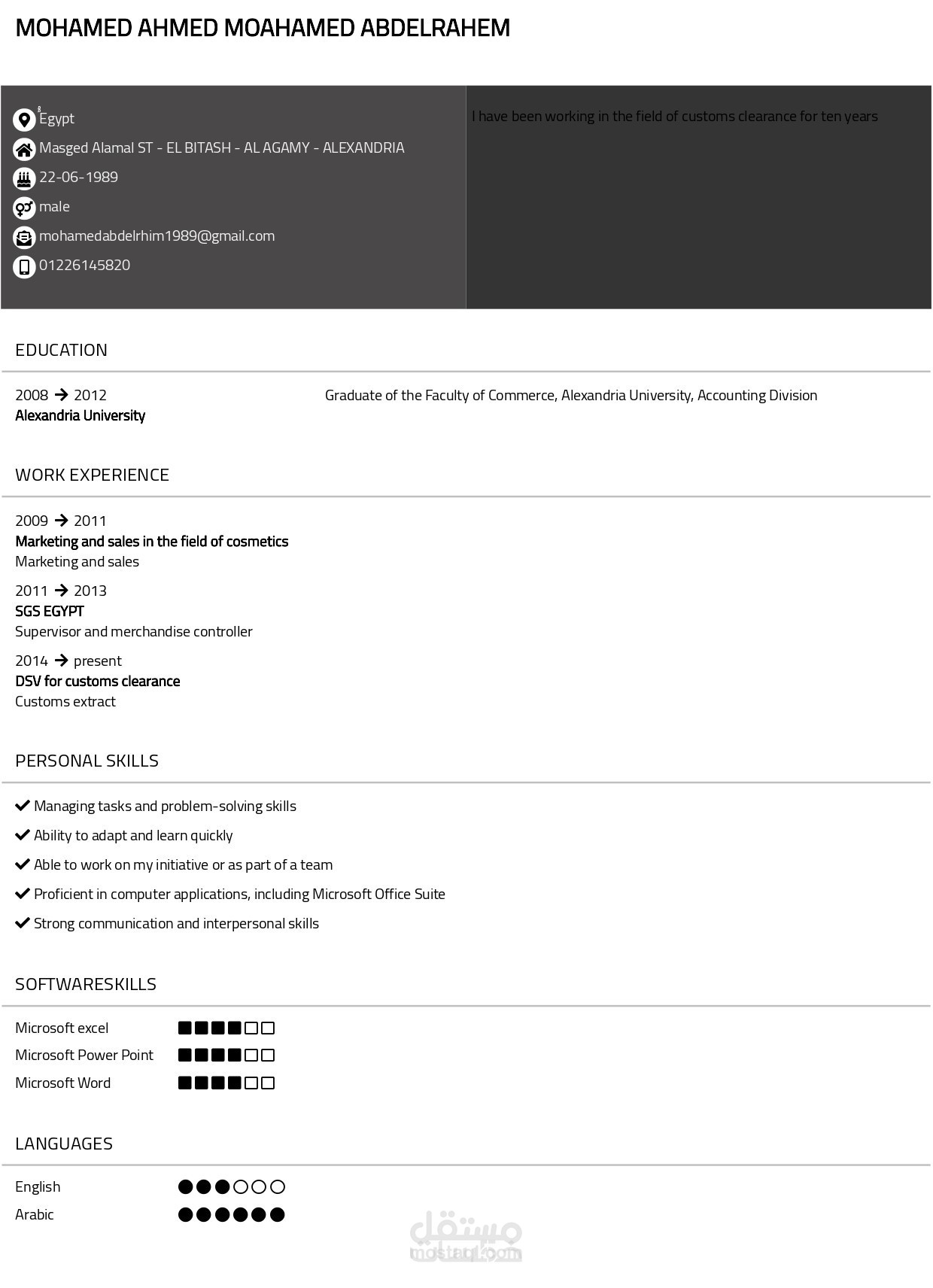 CV English احترافي ٢