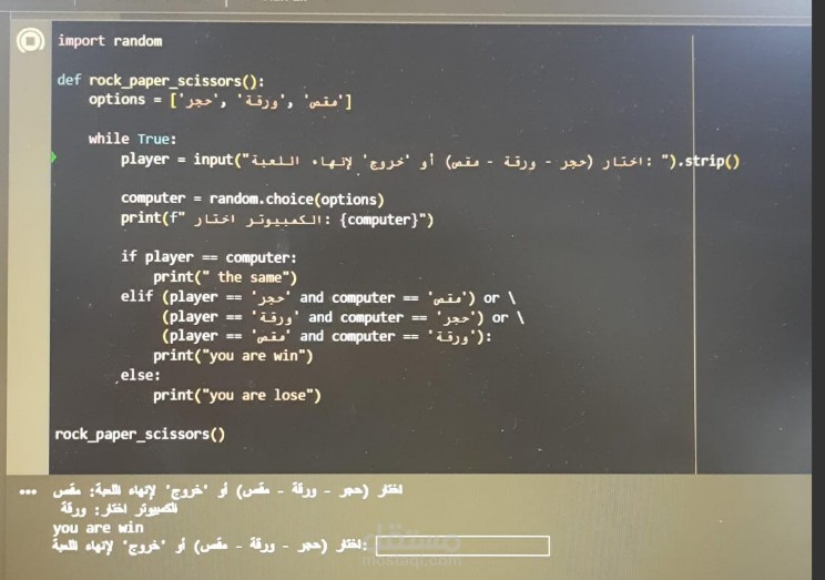 Junior Developer / Programming Intern