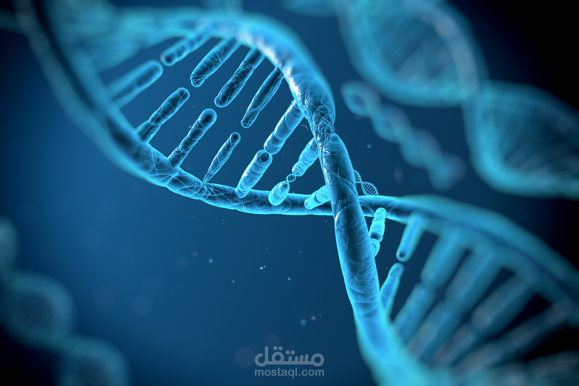 dna classificaion