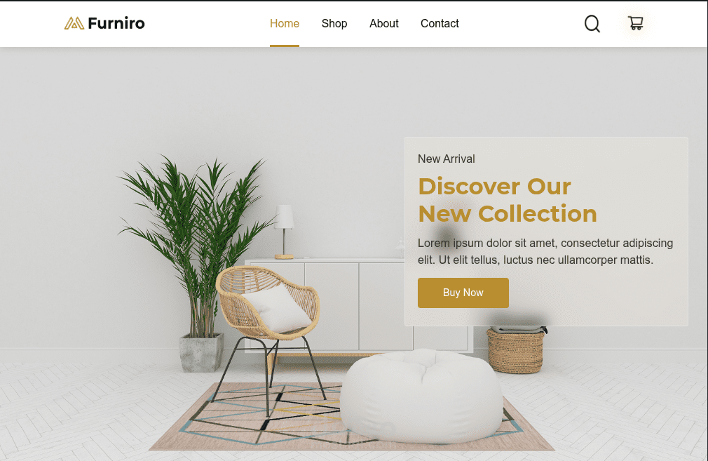 e-commerce website