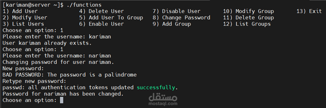 Bash Scripting Mini Project