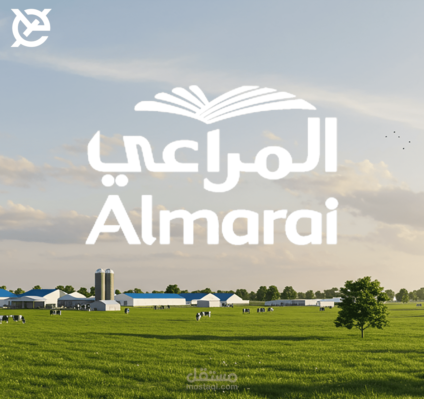 القاهرة