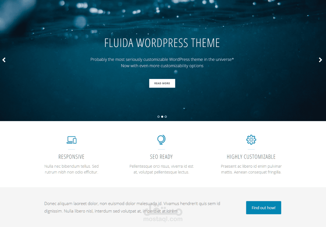 wordpress