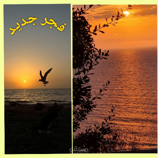 فجر جديد