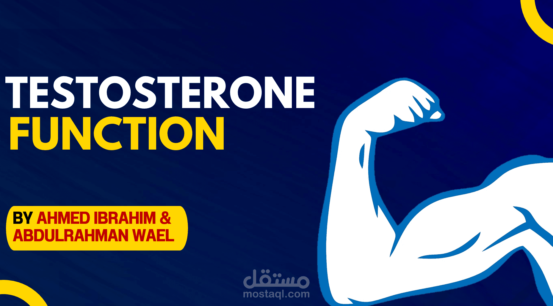 هذا التصميم هو جزء من عرض تقديمي تعليمي طبي يتناول وظائف هرمون التستوستيرون بطريقة مبسطة واحترافية
