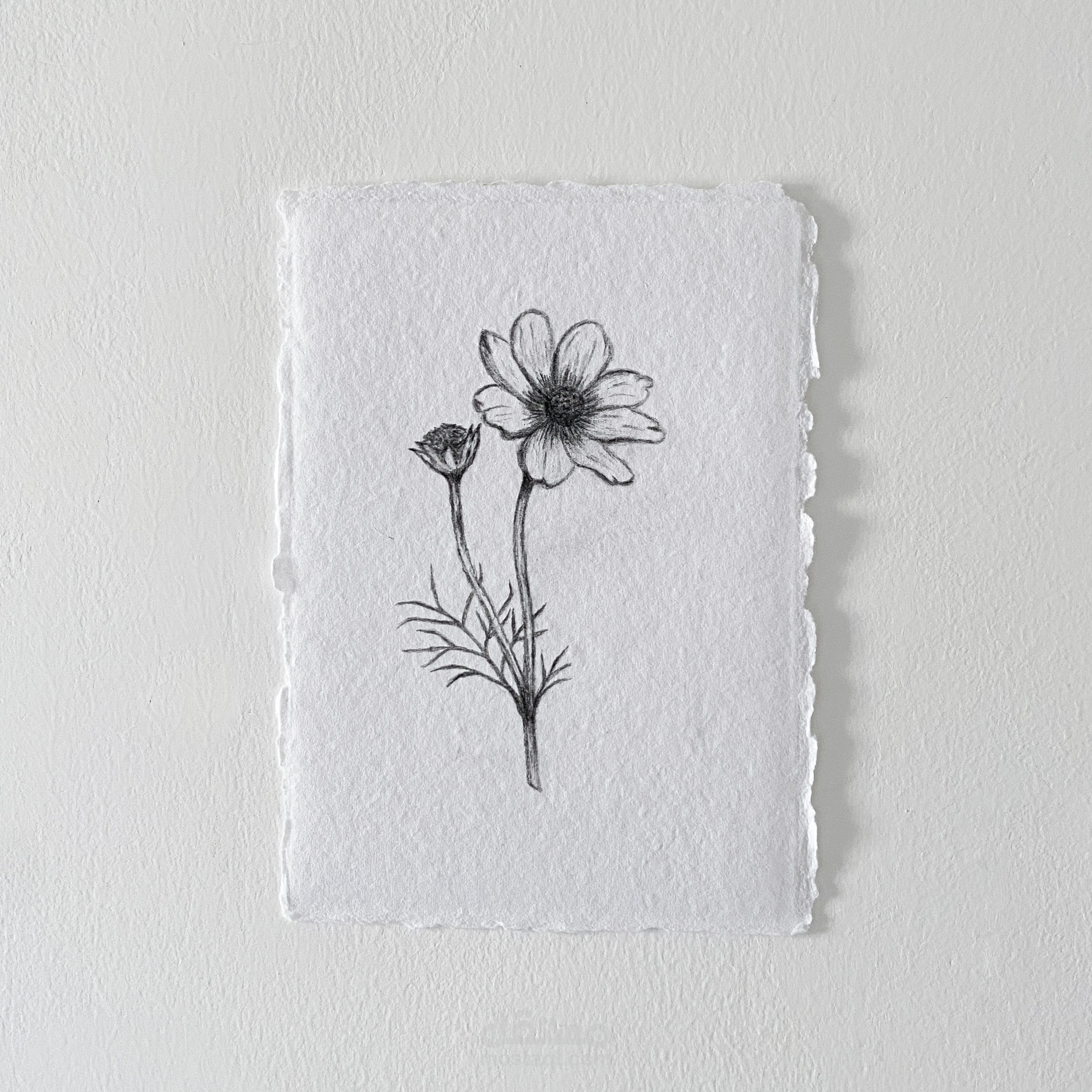 رسمة وردة