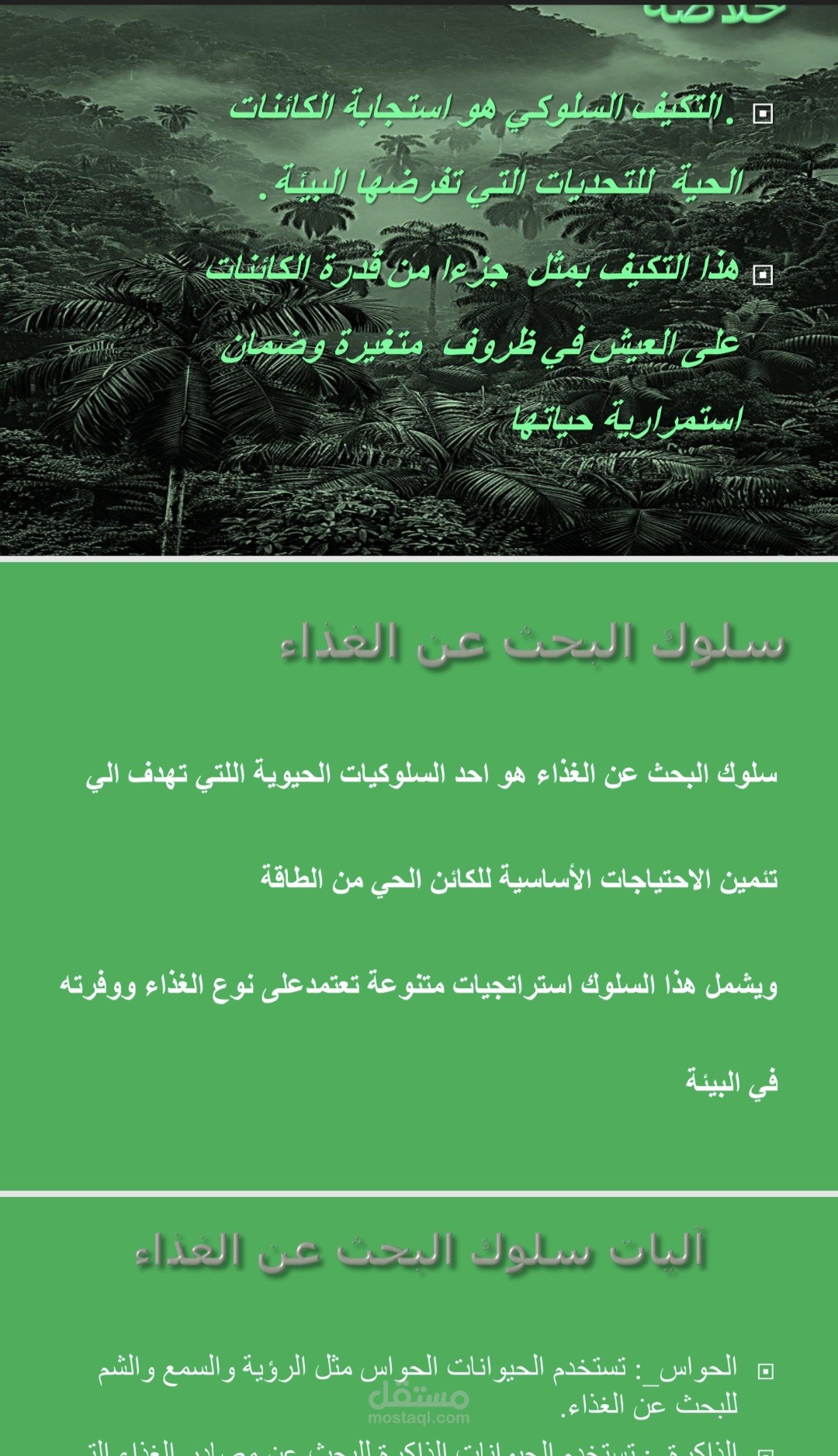 بحث جامعي موجز